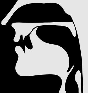 무성 권설 파열음