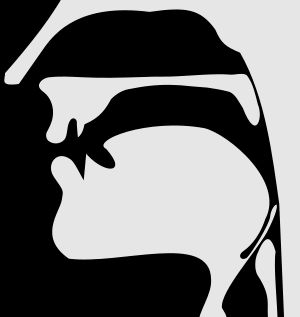 무성 후두개 파열음