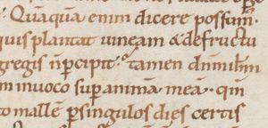 11세기의 punctus interrogativus; 세 번째 줄에서 "tamen" 앞에 사용됨.