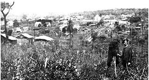 1909년의 상조제두히우프레투