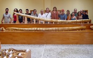 그리스에서 발견된 "맘모트" 보르소니의 엄니