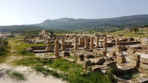 볼로니아 해변 근처의 바엘로 클라우디아 유적