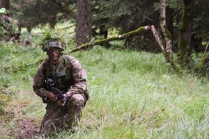 위장한 채로 훈련 중인 모습