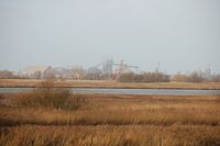 뷔츠플레테 산업 지구 원경