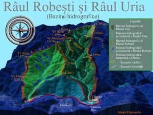 우리야 및 로베슈티 유역