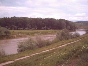 루마니아의 로만 근처의 시레트 강