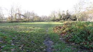 배터시 공원 자연 구역