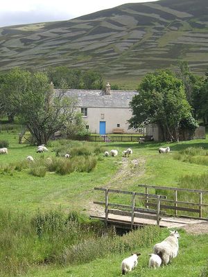 2007년 7월 Scalan의 대학