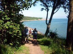 파이프 해안 길