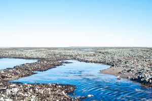 썰물 때의 굴. 쇼트 비치는 일출부터 일몰까지 개방된다.