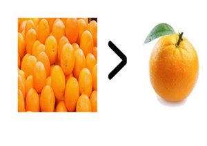 오렌지가 하나보다 많은 오렌지를 선호하는 불포화 선호의 간단한 예시