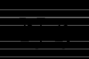 사미어는 대문자에 N자 형태의 eng를 선호하는 경향이 있다.