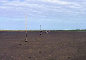 순례자의 길을 건너는 관광객