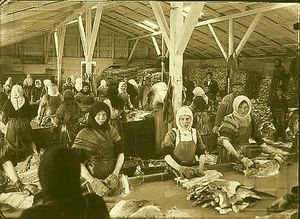 1910년대 레이캬비크에서 수출용 건어물을 생산하는 여성들.