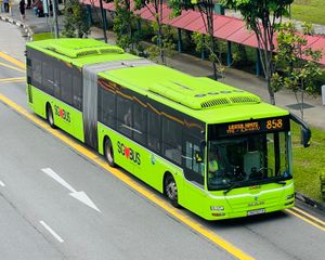 타워 트랜짓 싱가포르(Tower Transit Singapore)가 운행하는 굴절 버스