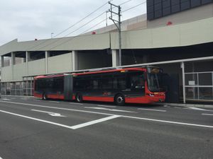 니가타 교통 반다이바시 라인 "트윈쿠루"