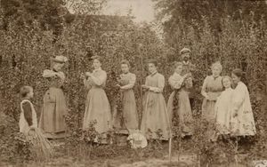 1898년 오플라이덴의 원예