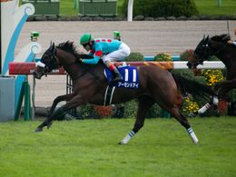 아몬드 아이가 슈카 쇼에서 우승