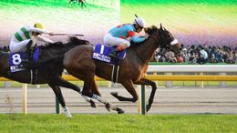 아몬드 아이가 재팬 컵에서 우승