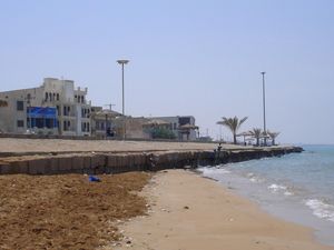 페르시아만 부셰르 해안