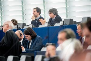 2020년 1월 13일 EP 회의에 참석한 푸지데몬과 코민