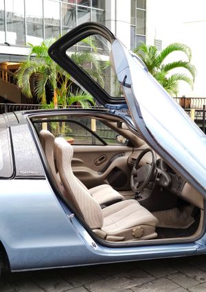 버터플라이 도어의 측면 모습