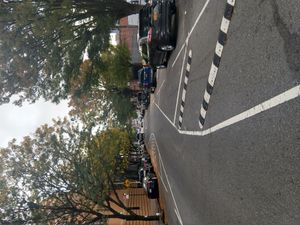 다른 유형의 교통 정온화 시케인