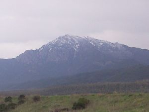 몬테 아르코수, WWF 보호구역