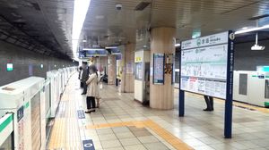 2022년 3월 플랫폼