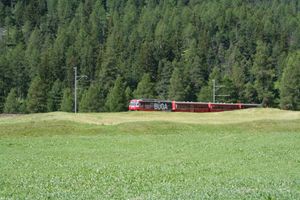 베버 근처의 알불라 노선 열차