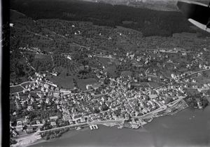 발터 미텔홀처의 고도 800m 상공에서 촬영한 항공 사진 (1919년)