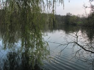 레피시 옆 마모리바이허 연못