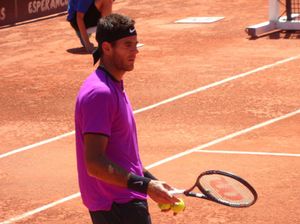 2017 리옹 오픈에서의 델 포트로