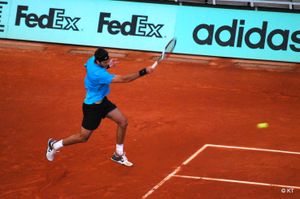 강력한 포핸드 스트로크를 구사하는 델 포트로