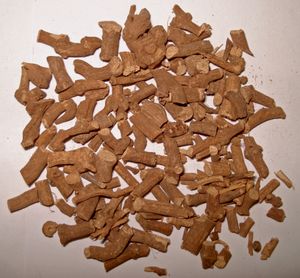 피팔리의 뿌리인 간토다