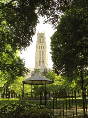 사쿠라 공원에서 본 모습