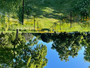 업타운 자연 구역
