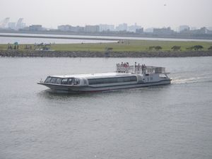 코스모스(2009년 8월 29일)