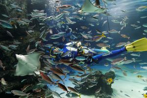 메인 수조 "선샤인 라군"