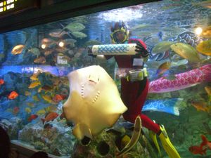 선샤인 국제 수족관 (개조 전)