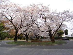 로터리에서 활주로를 바라봄