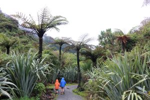 파파로아 트랙 (포로라리 강)