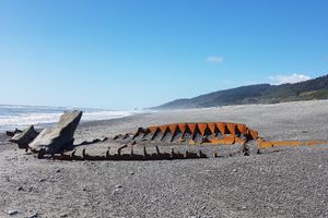 그레이마우스 코브덴 해변에 난파된 아벨 타스만