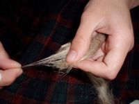 동물의 털을 손으로 비틀어 실을 만드는 모습