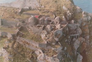 1987년 공중에서 본 벌집 오두막