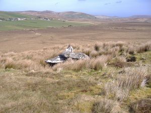 에리스의 폴러에 있는 거석 무덤