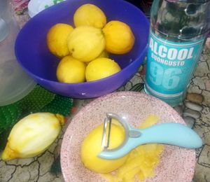 리몬첼로의 재료