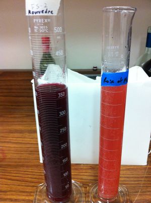 적포도주 즙에서 빼낸 (세니에) 무르베드르와 로제 와인의 샘플