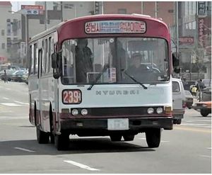 1980년대~1990년대 서울 시내버스 모습. 현대 RB 버스를 포함한 다양한 버스들이 운행 중이다.