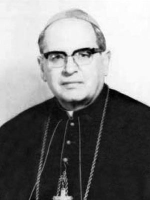 주교 파바오 자니치는 메주고리예에서 일어났다고 주장되는 발현에 대한 교회 조사를 위해 처음으로 두 개의 위원회를 설립했다.